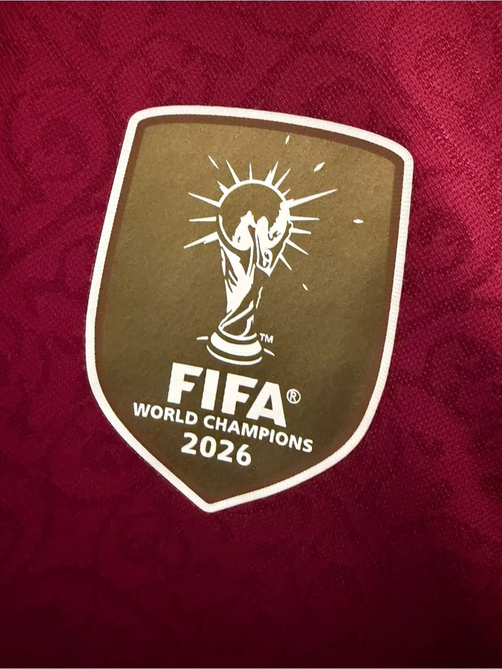 WC Champions Spain 2027 Unreleased Jersey